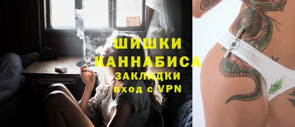 ГАЛЛЮЦИНОГЕННЫЕ ГРИБЫ Елабуга