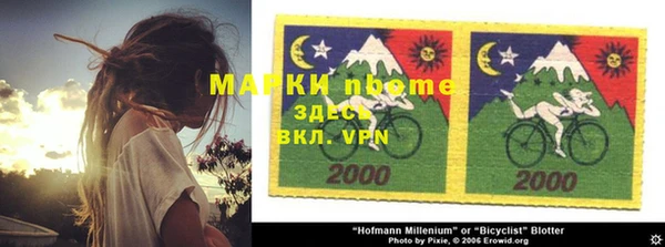 метадон Ельня