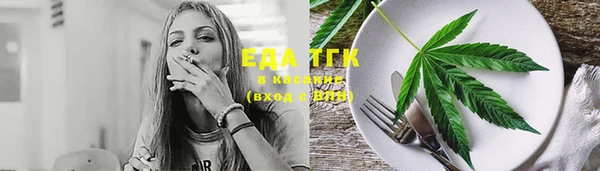 сатива Елизово