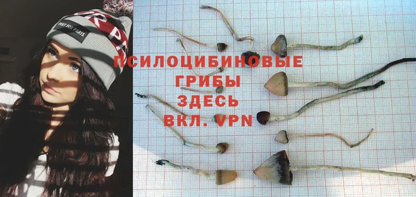 сатива Елизово
