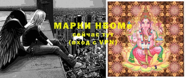ГАЛЛЮЦИНОГЕННЫЕ ГРИБЫ Елабуга