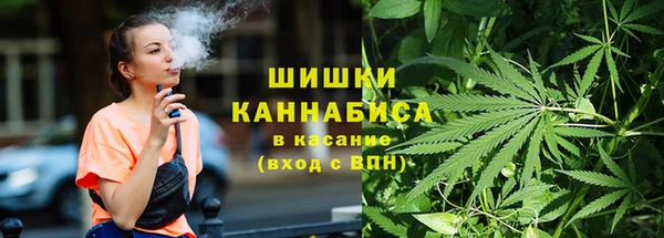 метадон Ельня