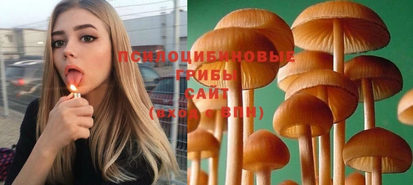 метадон Ельня