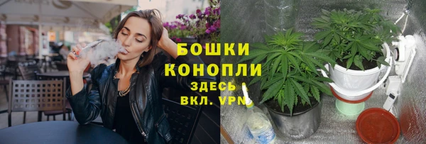 метадон Ельня