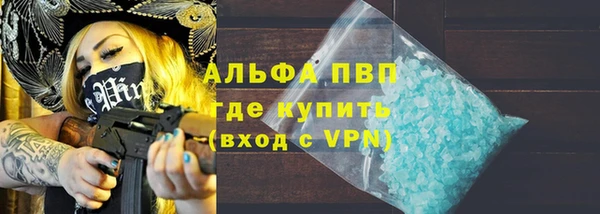 сатива Елизово