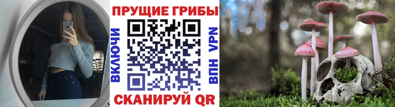 Псилоцибиновые грибы Magic Shrooms  купить   Емва 